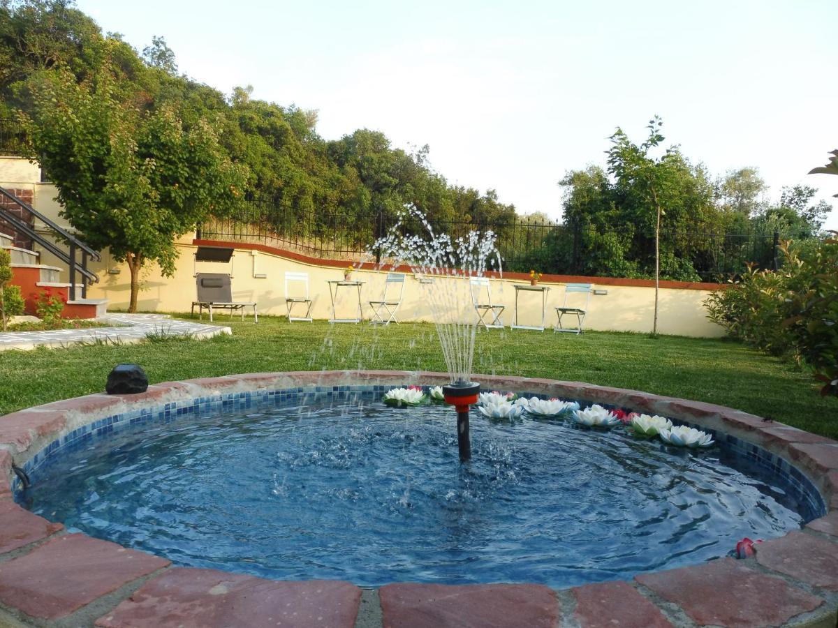 Helianthos Villa - Apartment No4 PalaiónTsiflíkion Buitenkant foto