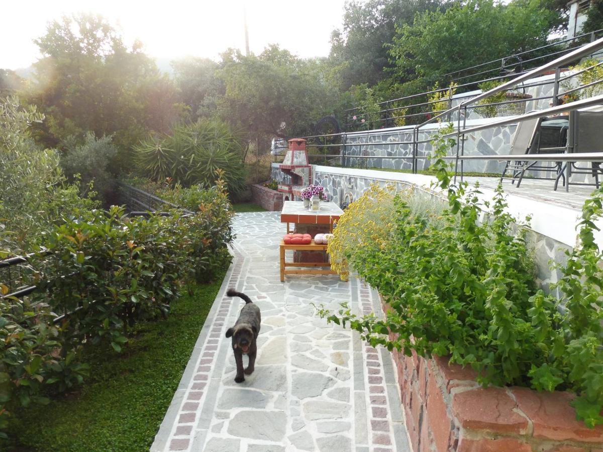 Helianthos Villa - Apartment No4 PalaiónTsiflíkion Buitenkant foto